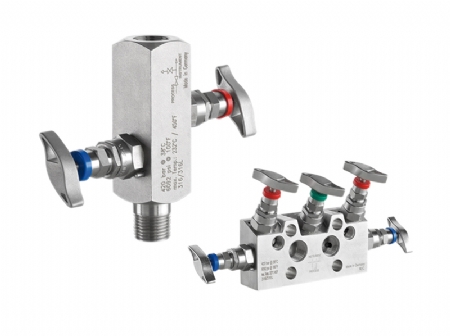 Manifold